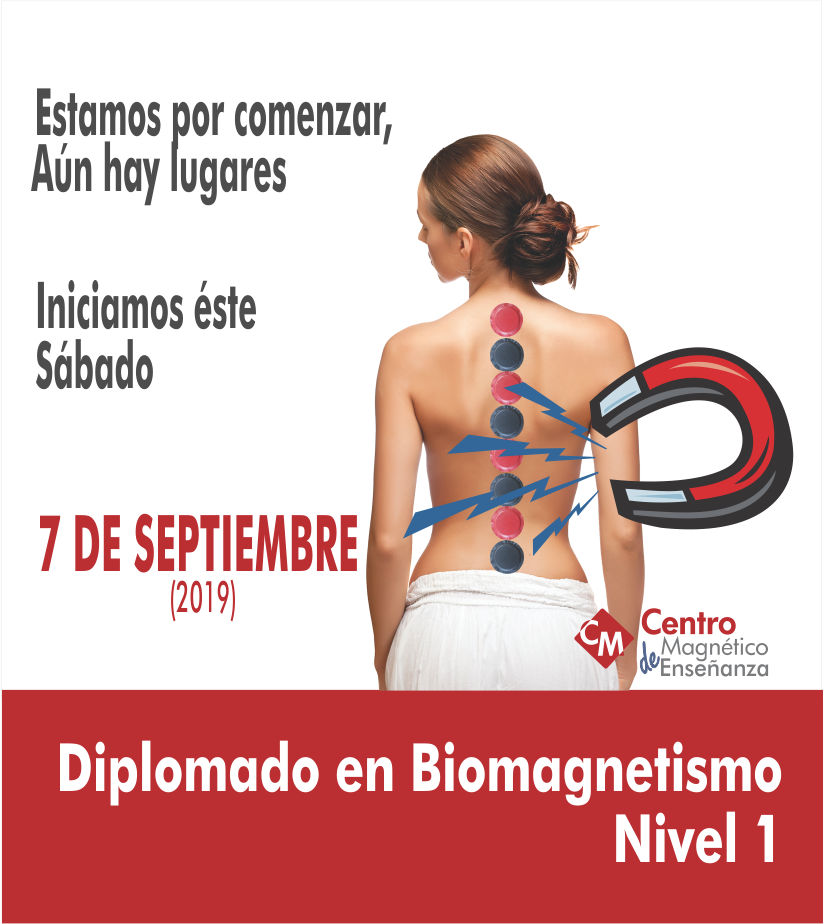 WEB DIPLOMADO SEP2019